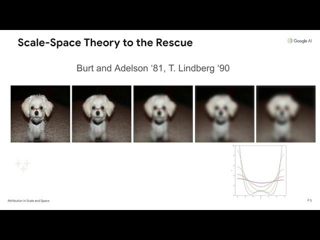 Attribution in Scale and Space