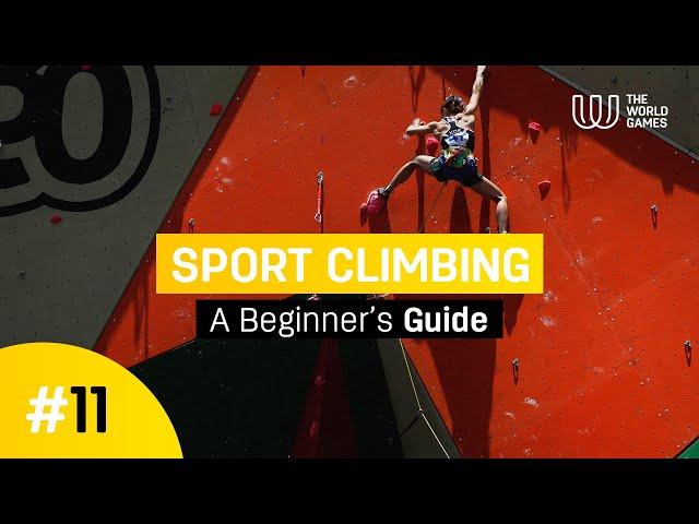 A Beginner's Guide to Sport Climbing