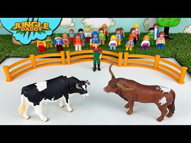 COW VS. BULLS BATTLE!! "Jungle Daddy" cow toys for kids schleich safari ltd mojo farm animals