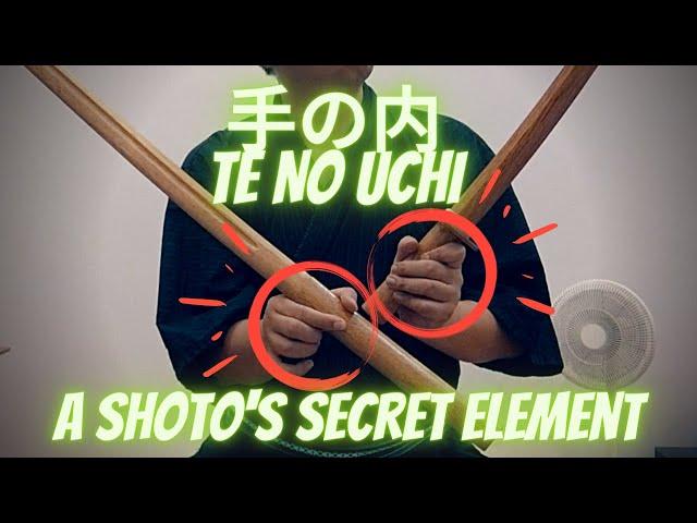 Improve your Tenouchi using a short sword : Tips for Iaidoka on sword grip, Te No Uchi (手の内)
