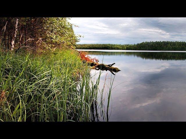 Живые пейзажи, ultra HD 3840x2160 (4k video)