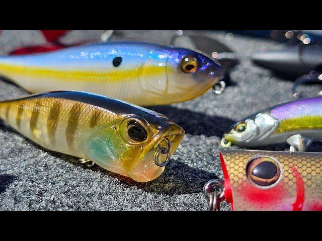 Don't Miss These 5 Overlooked Topwater Baits! They're Amazing!!