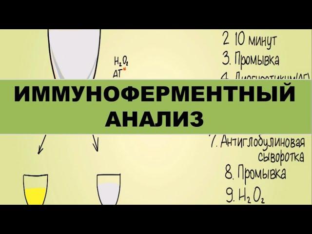 Иммуноферментный анализ (ИФА)