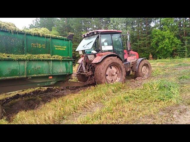 Заготовка силоса. Мтз1523 буксует после сильного дождя, техника выходит с поля.