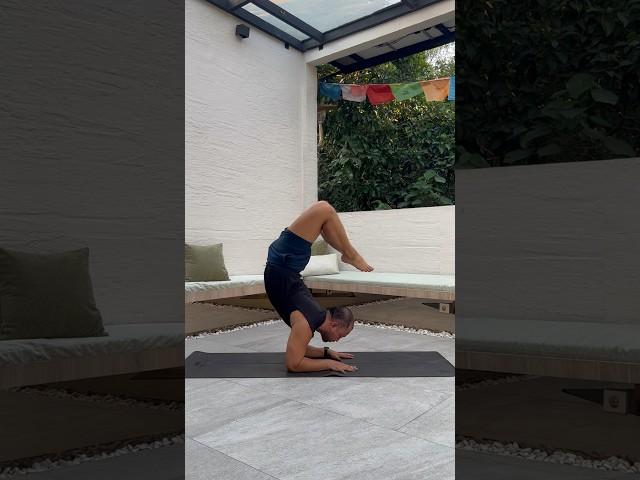 Scorpion #yoga #forrestyoga #backbend #inversion #handstandworkout #yogaexercise #fitness