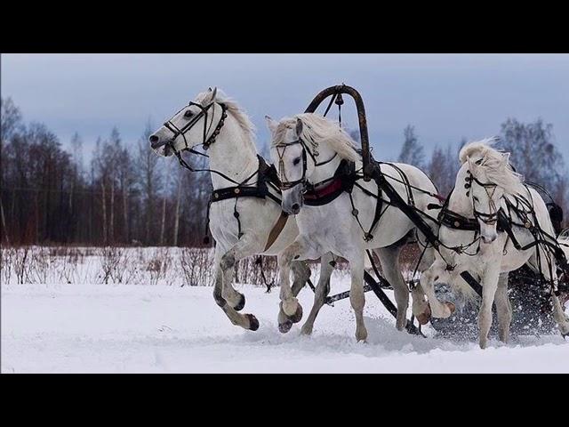 "Трудно в деревне у нас"хит 2020