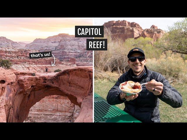 24 Hours at Capitol Reef National Park | Hickman Bridge, Navajo Knobs, Cassidy Arch, PIE, & more!