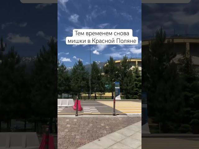  Вайлд нэйчер в нашей деревне продолжается.