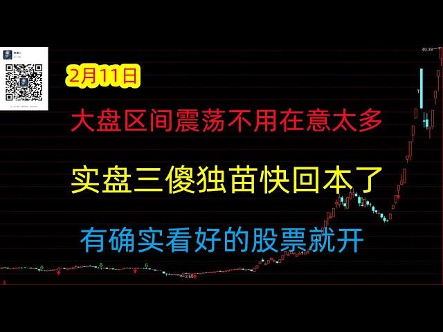 490期(20250211)A股分析/A股推荐/股票推荐/A股/实盘交易/实盘/每日荐股/大陆股市/牛市来了