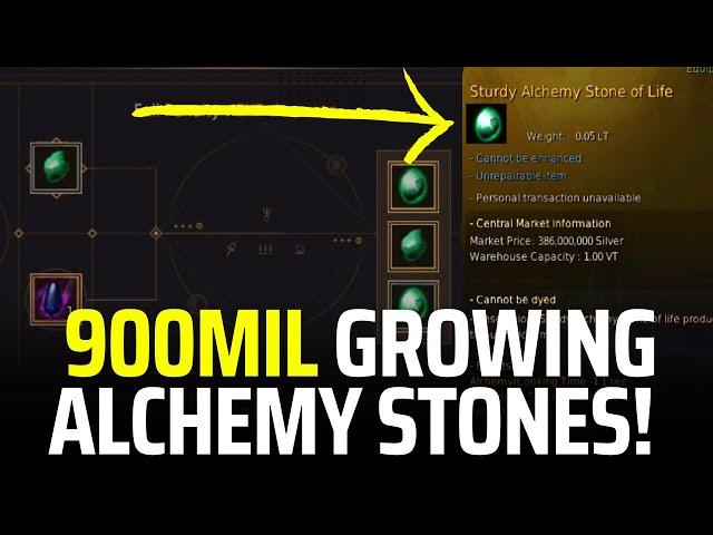 Life Of A Shai #46: Growing Sturdy Alchemy Stones!?- Black Desert Online