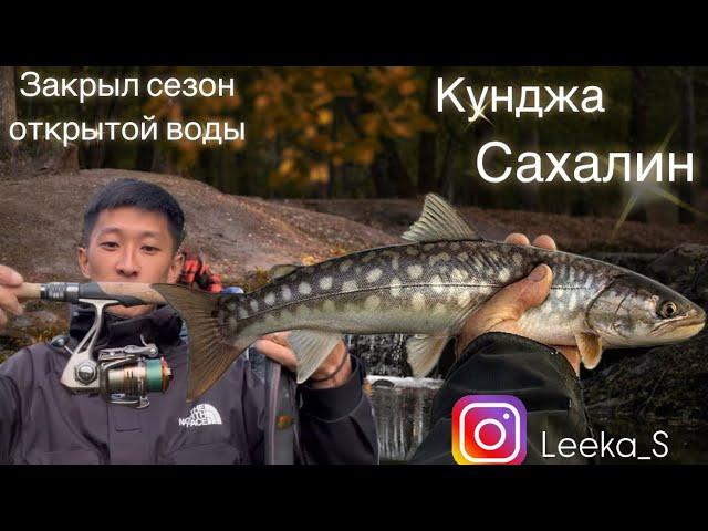 Осенняя Кунджа/рыбалка Сахалин/рыбы очень было много/#отдых#туризм#fishing#рыбалка