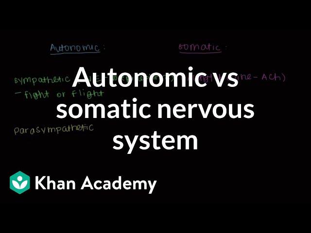 Autonomic vs somatic nervous system | Muscular-skeletal system physiology | NCLEX-RN | Khan Academy