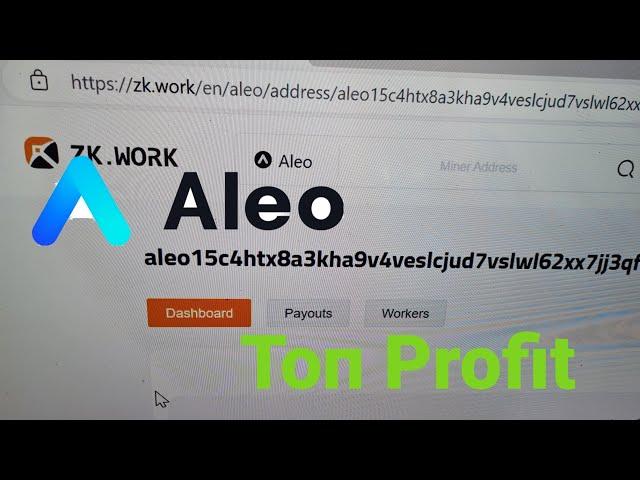 Майнинг на видеокартах. Aleo настройка на  zk.work.