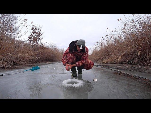 УСТАЛ ПОДСЕКАТЬ. КАНАВА ВОКРУГ ПОЛЯ ПОЛНА РЫБЫ. Азартная зимняя рыбалка на мормышку.