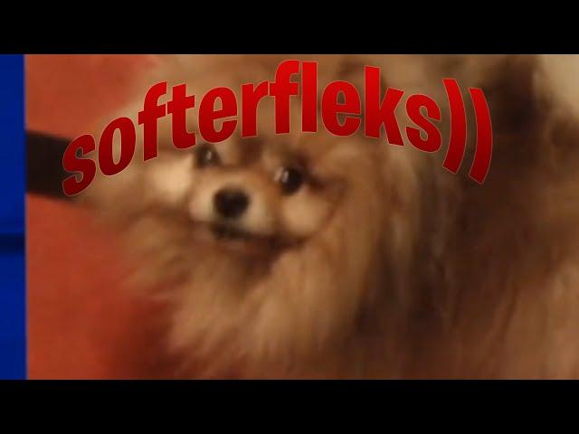 softerfleks))