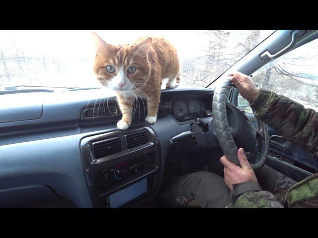 ПЕШИЙ ПОХОД НА ОЗЕРО ПЕПЕЛЬНОЕ МАГАДАНСКОЙ ОБЛАСТИ ЗИМОЙ. ВСТРЕТИЛИ ЗАКАТ НА МЫСЕ НЮКЛЯ.