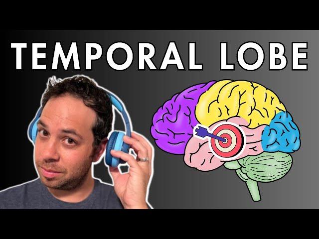 The Temporal Lobe - Location and Function