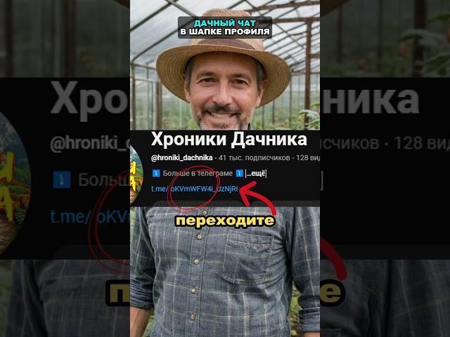Перец вырастет с кулак! Лучшая подкормка перца #перец #огород #сад #дача