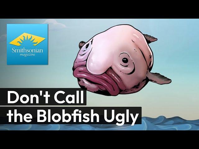 Don't Call the Blobfish Ugly