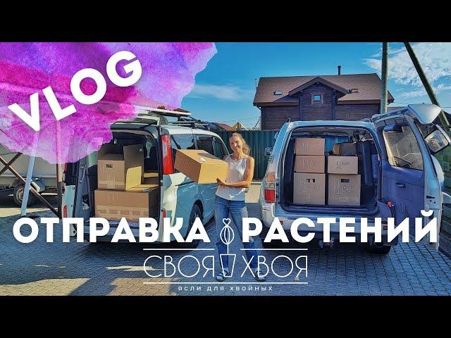 Отправка растений СДЭК|Собираем ваши заказы