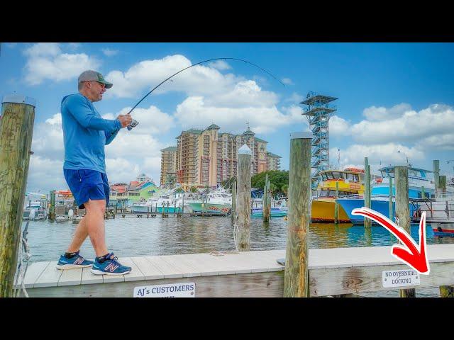 Fishing Destin Harbor And Taking Whatever I Catch To A Restaurant For Lunch