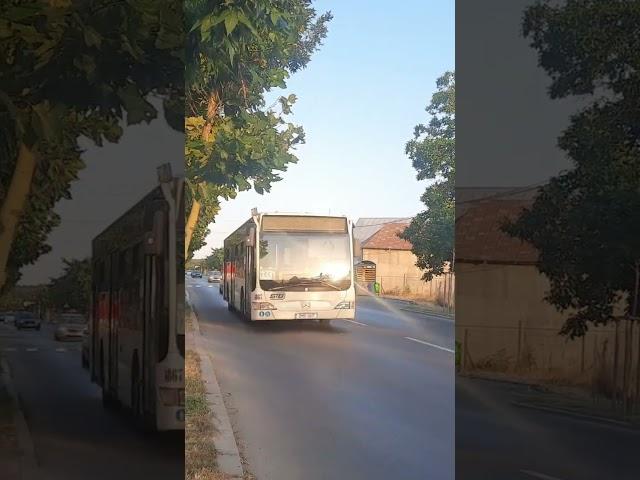 Autobuzul MBC E4 C1 0530 #4867 intrând în stația Buciumeni(436)  filmat pe 26.06.2024