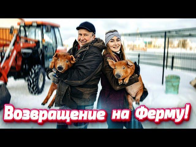 Дела хозяйские и ОБЗОР Нашей Фермы | Молодая Ферма