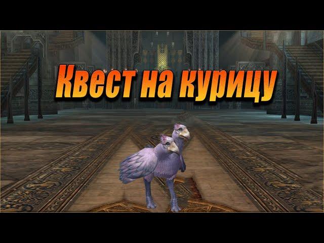 Квест на курицу ла2 (Гайд). Lineage 2 Asterios.