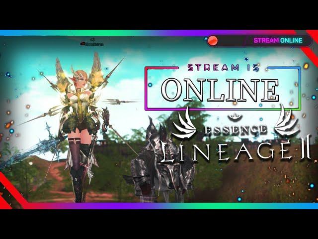 МНОГО КОДИКОВ НА ПРЕДНОВОГОДНЕМ СТРИМЕ - СВС 88+ crusader lineage 2 essence л2