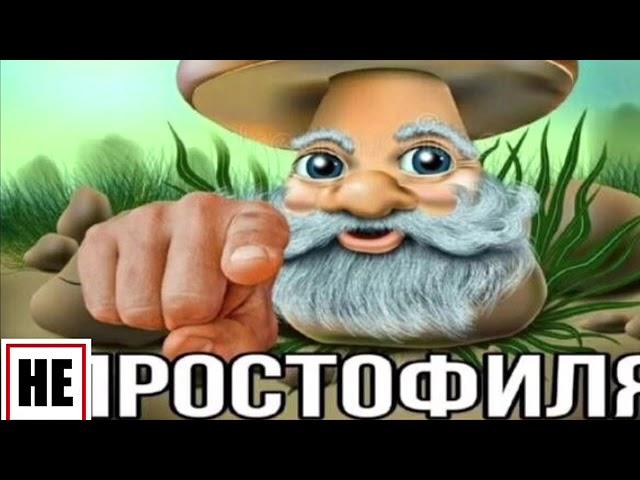 ГРИБ ПРОСТОФИЛЯ, ЭТО НЕ ПРОСТОФИЛЯ, А ИЛЬЯ СИСЬКАЧ! Внимание