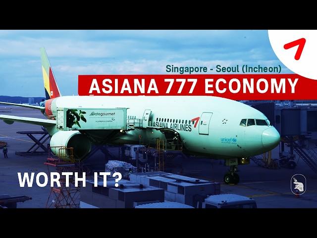 ASIANA AIRLINES Economy Class review | Still any good? ️