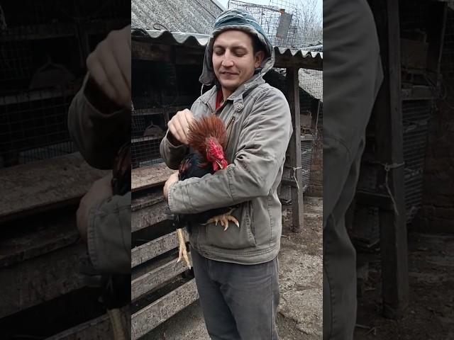 Ваше па️ую #запоріжжя #україна #selhozperedelkin #farming