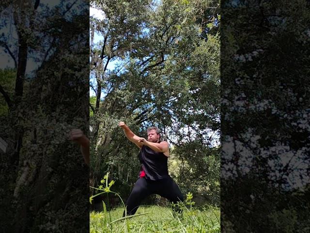 The Greatest CHAOS Boxing Dragons Shadow Fist Kung Fu Demonstration mike420kungfu #positivevibes