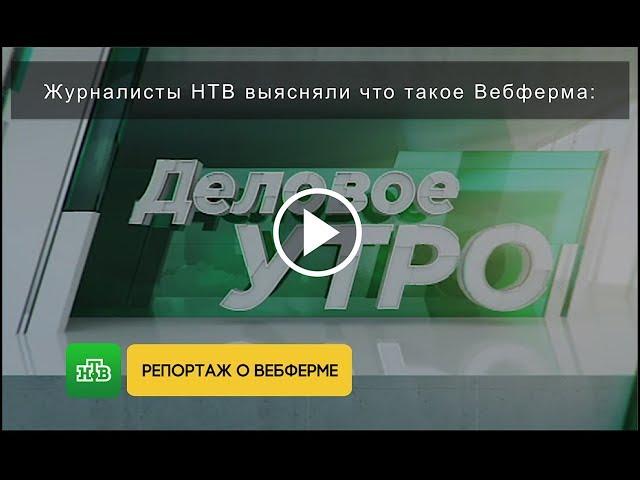 Журналисты НТВ выяснили что такое Вебферма