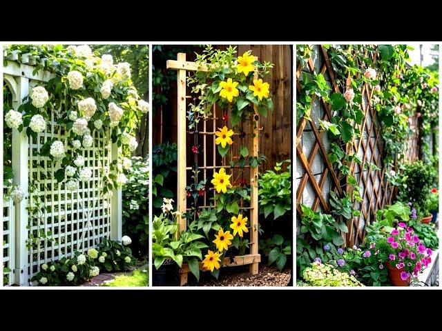 Climbing Plants for Fences: Beautify Your Outdoor Space!