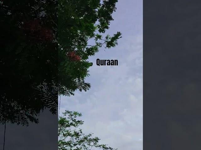 surah kahf #urdu #translate #shortvideos