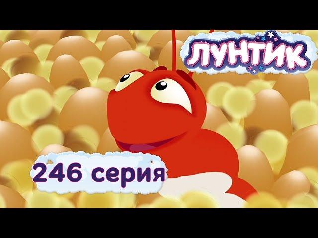 Лунтик и его друзья | 246 серия | Дикая букашка | Мультики для детей