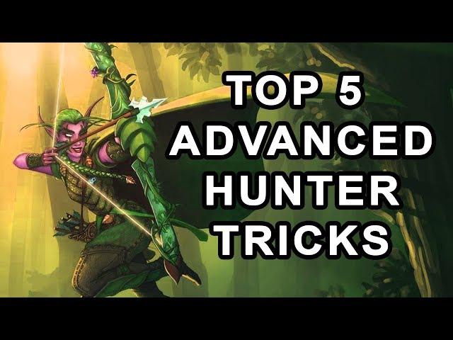 Top 5 Advanced Hunter Tips & Tricks in Classic WoW