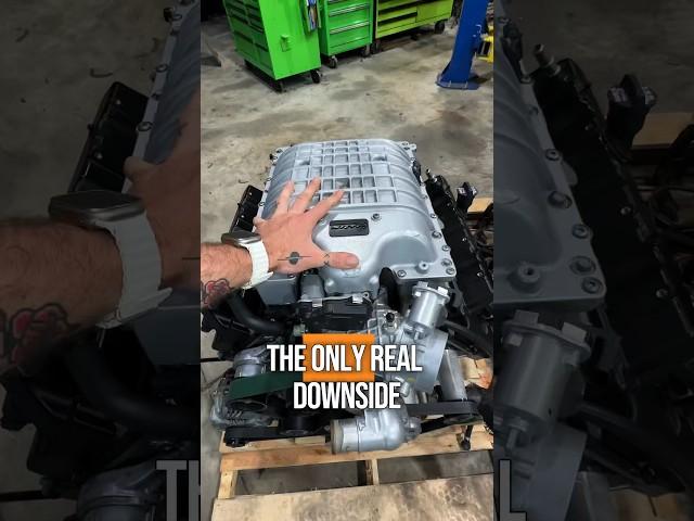 You taking the LS9, Redeye or Predator!?