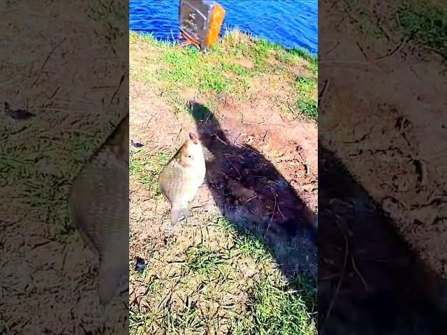 Рыбалка в Чечне и в Европе