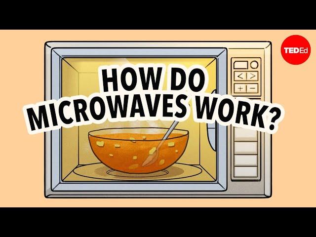 Why can't you put metal in a microwave? - Aaron Slepkov