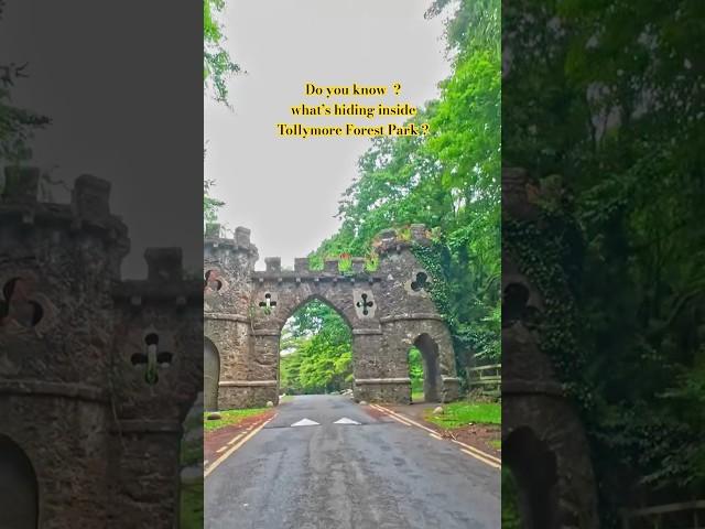 Tollymore Forest Park | County Down | Ulster | Northern Ireland | UK #neilyaatri #nature #travel