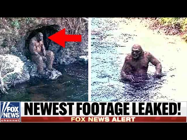 Drone Entered Restricted Forest And Captured The Most Terrifying Bigfoot Footage!