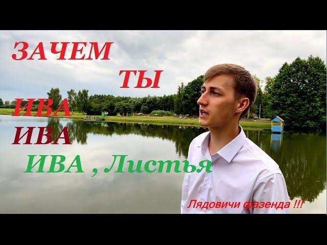 Парень повторил песню своего кумира .  Александр СЕНЮТА. (кавер)