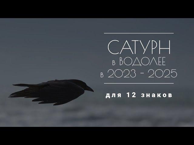 Сатурн в Водолее в 2023-2025. Влияние на 12 знаков