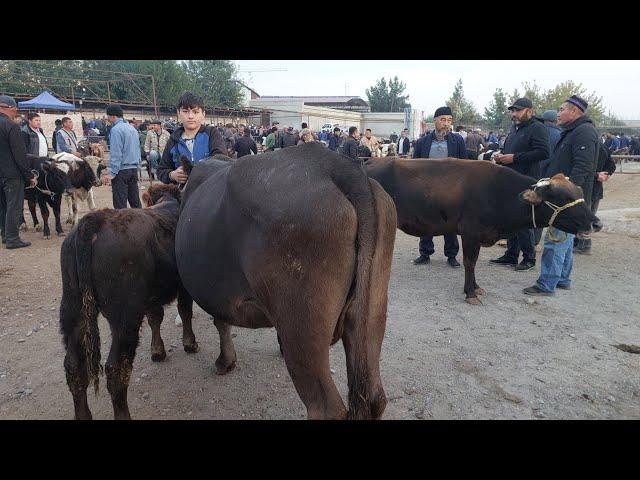 Qoqon mol bozori ģunajinlar VA sigirlar narhlari bilan tanishing 2.10.2024yil