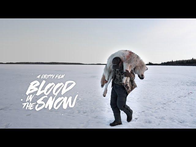 BLOOD IN THE SNOW | A WOLF HUNT |  GRITTY 4K FILM