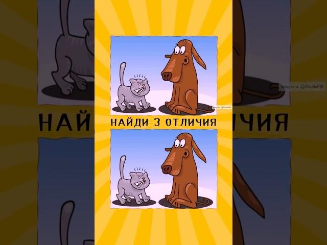 Найди 4 слова отличающий от других слов #найдиотличие #отличиевслове #словоотличающие #отличие #слов