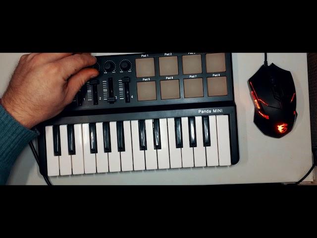 Worlde Panda MINI + FL Studio