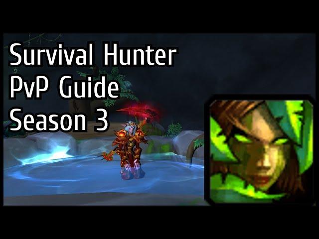 Bicmex | R1 Survival Hunter PvP Guide | Dragonflight Season 3